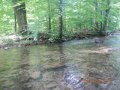 fowlers hollow.Laural run 06-09-14 092